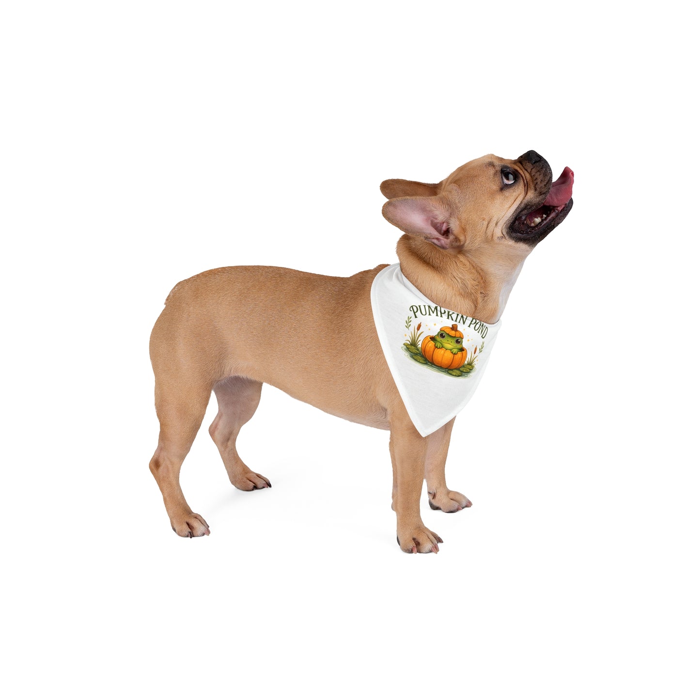 Pet Bandana — 'The Pumpkin Pond' Autumn Pumpkin Pup Bandana